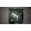 main board le40b530p7wx bn94-02710g  BN41-01165B 